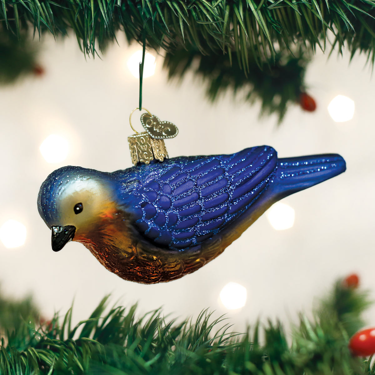 Hanging Western Bluebird