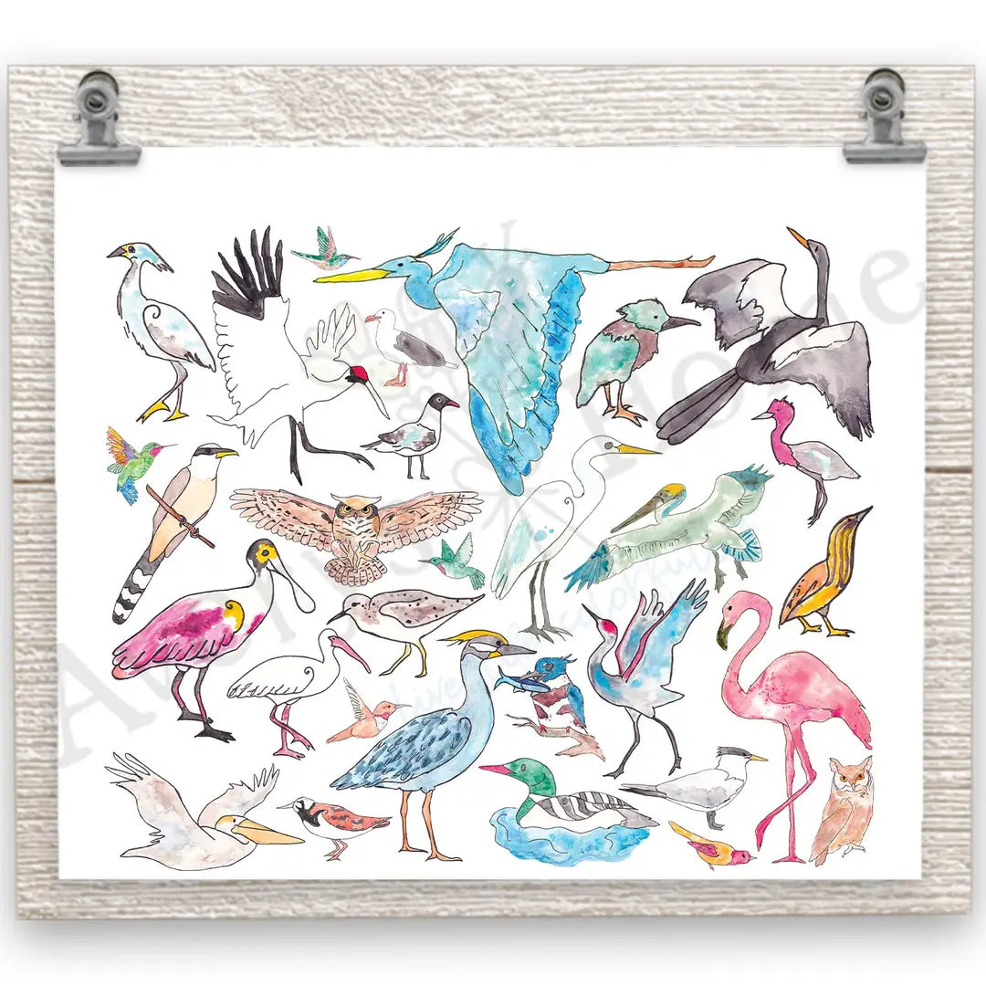 Coastal Birds 20 oz Skinny Tumbler
