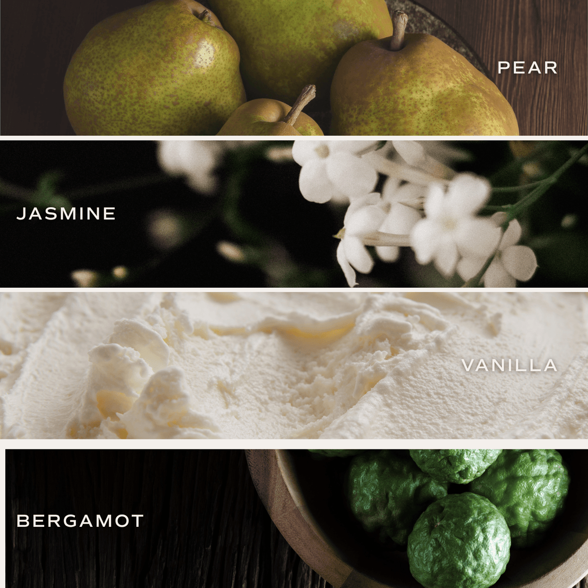Cashmere and Vanilla Clear Reed Diffuser