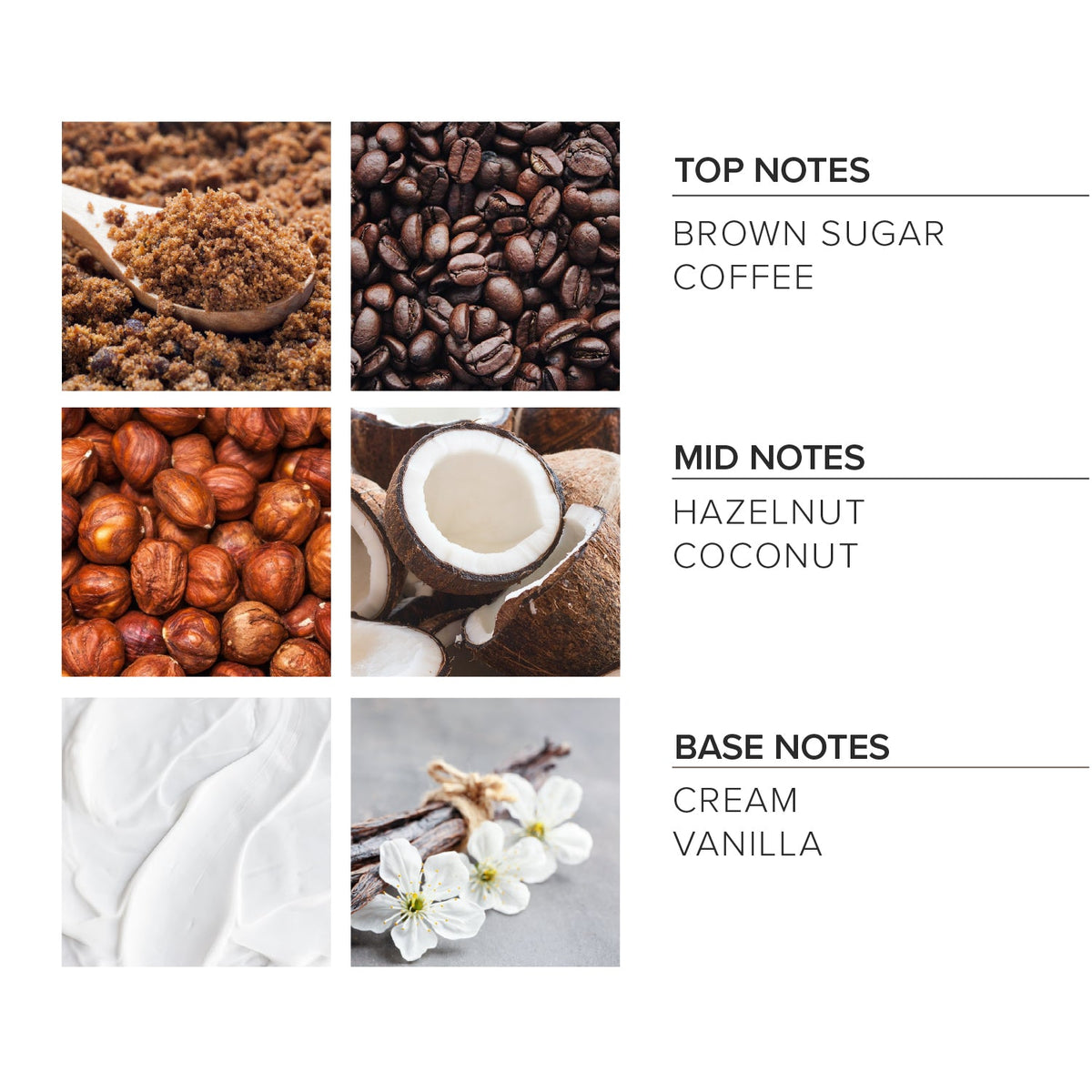 Coffee Arabica Soy Candle
