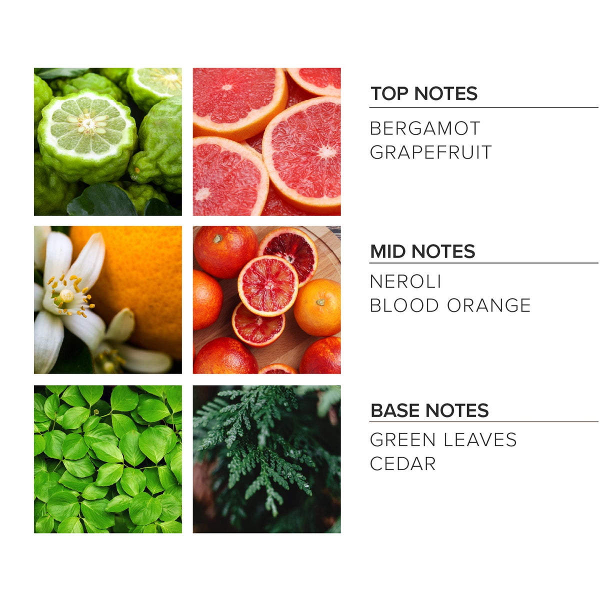 Fresh Squeezed Linen Spray