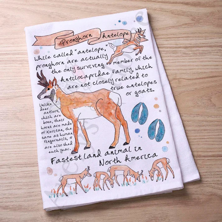 Pronghorn Antelope Facts flour sack dish towel, art by Avery Jackson