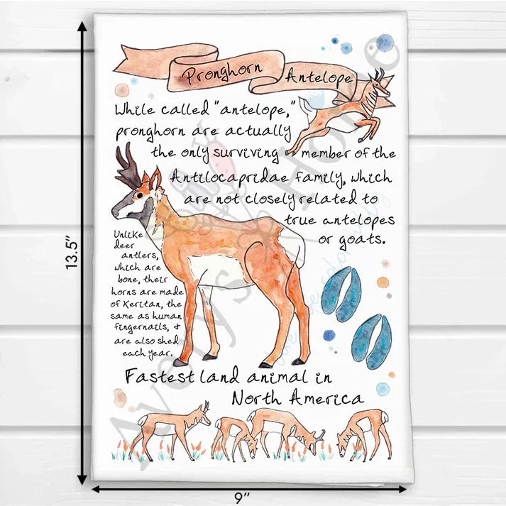 Pronghorn Antelope Facts dish towel, 27x27 flour sack cotton
