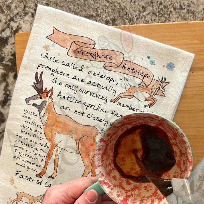 Pronghorn Antelope Facts dish towel hanging in the kitchen