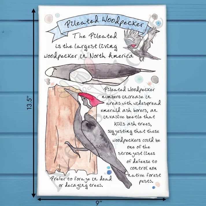 Pileated Woodpecker Facts flour sack dish towel, art by Avery Jackson