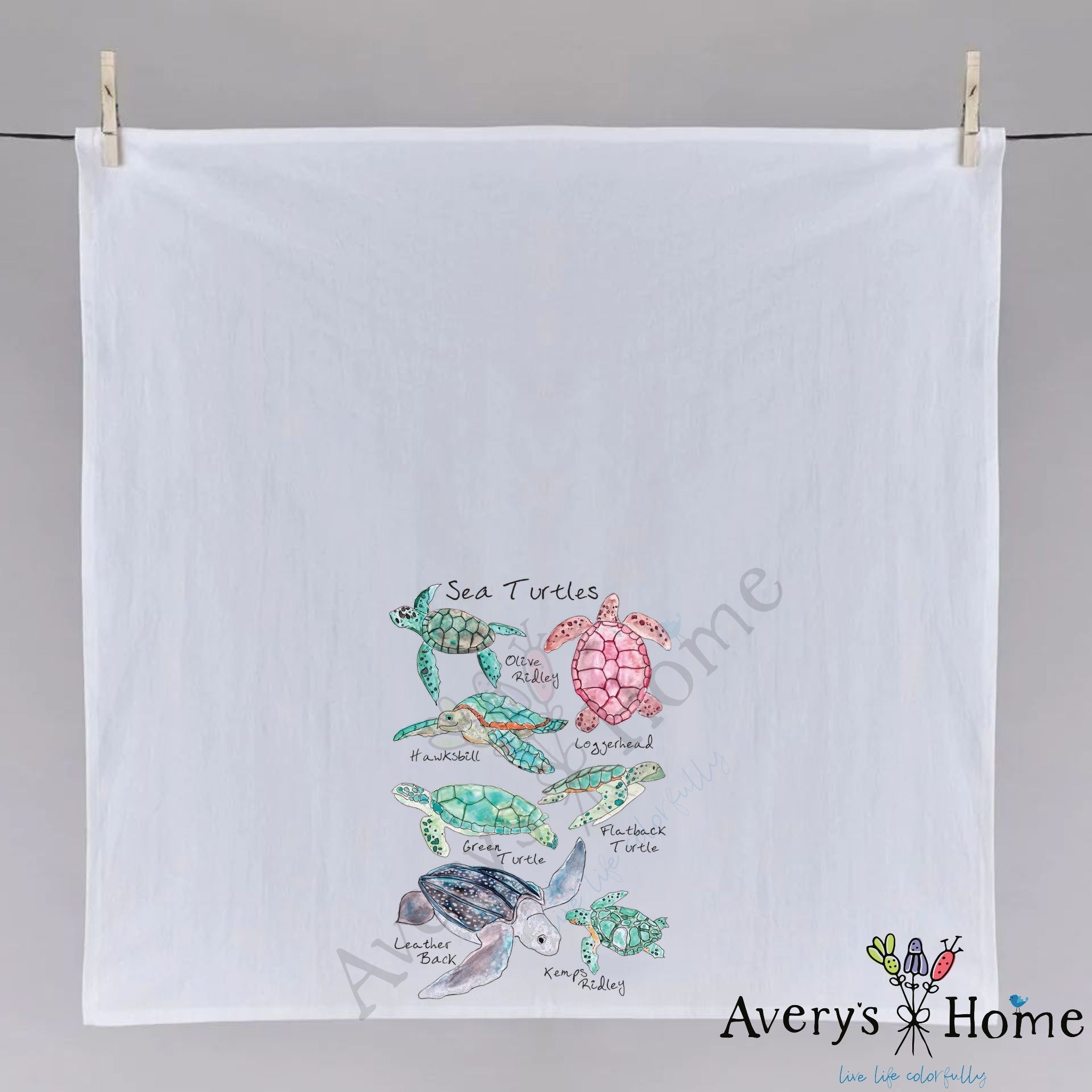 Sea Turtle Breeds dish towel hanging in the kitchen
