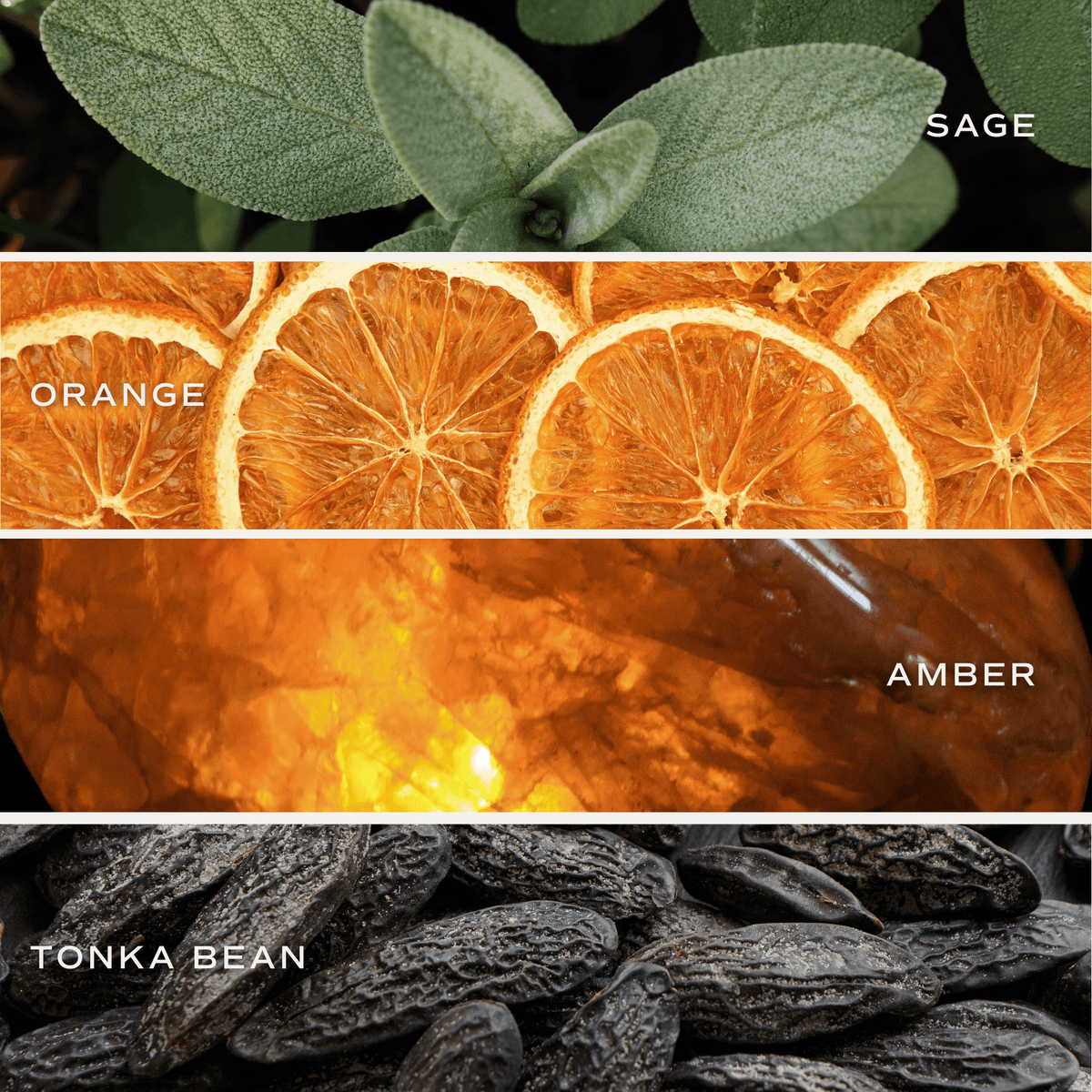 Weekend Clear Reed Diffuser