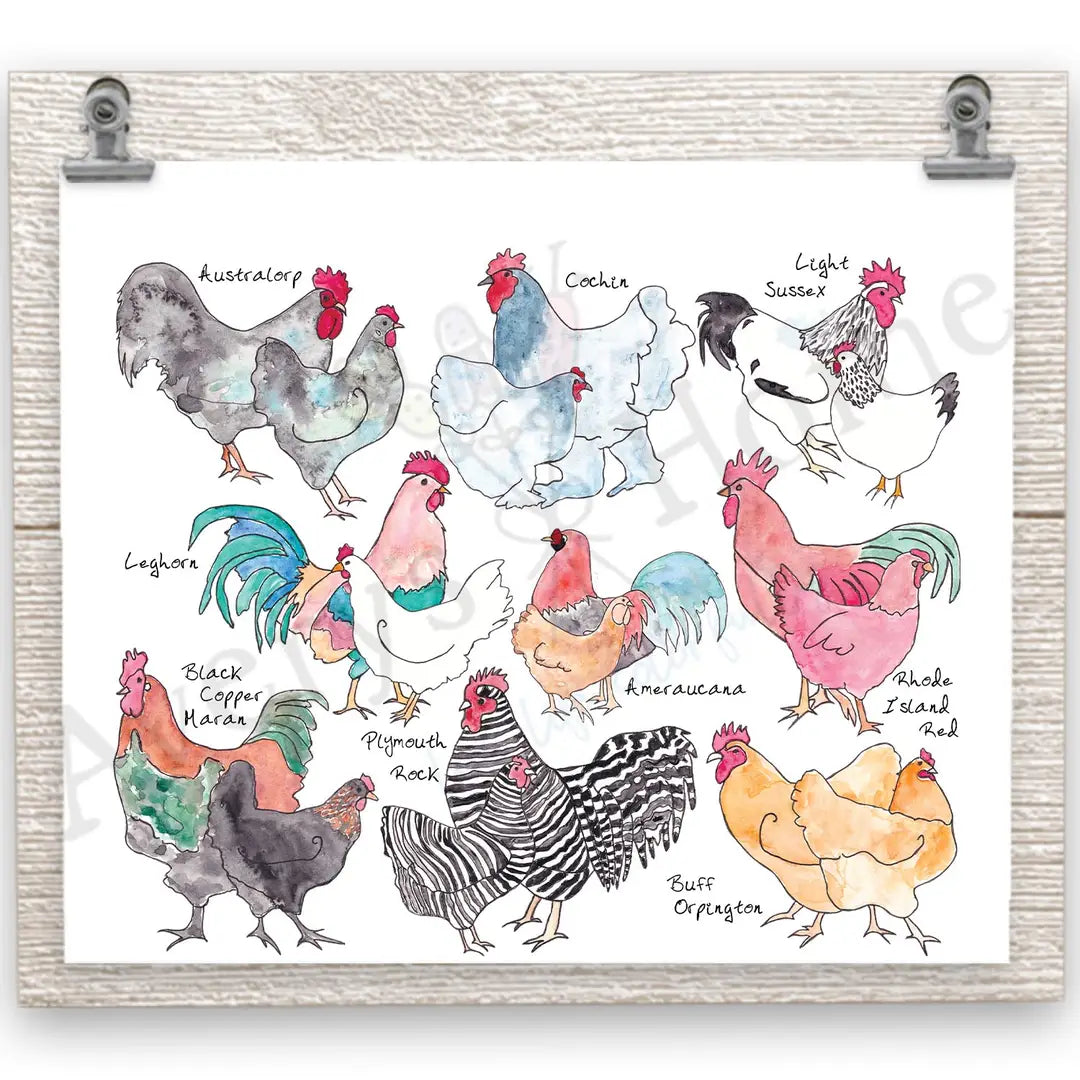 Chicken Breeds 20 oz Skinny Tumbler
