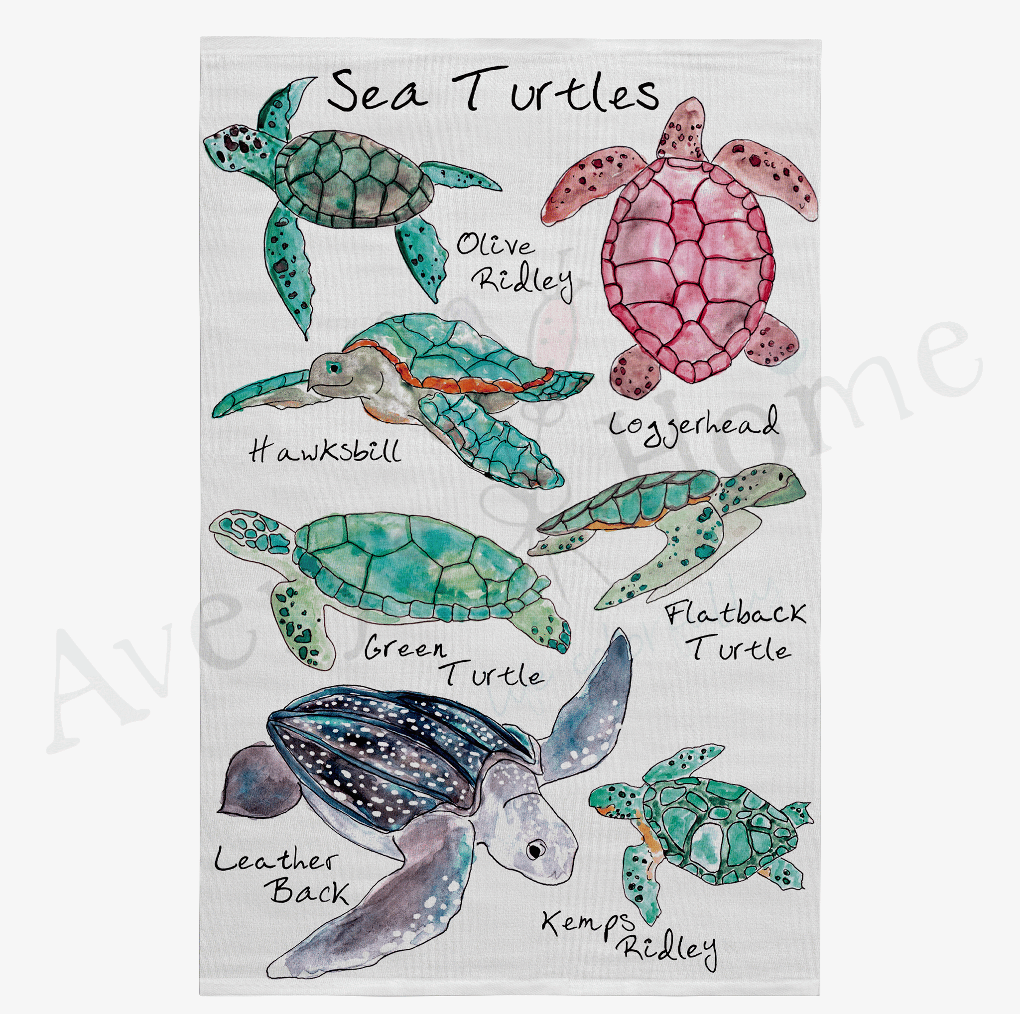 Sea Turtle Breeds dish towel design detail