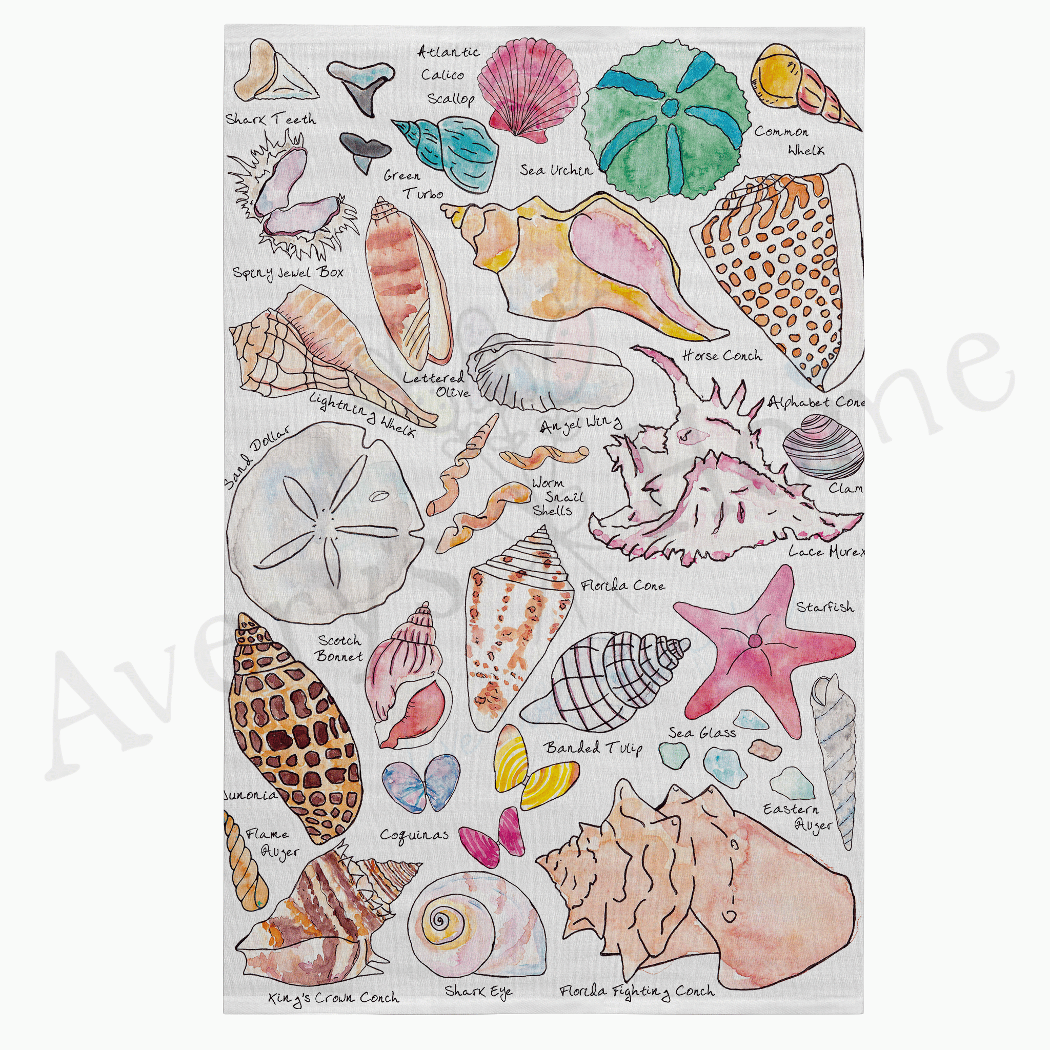 Seashell Collector dish towel design detail