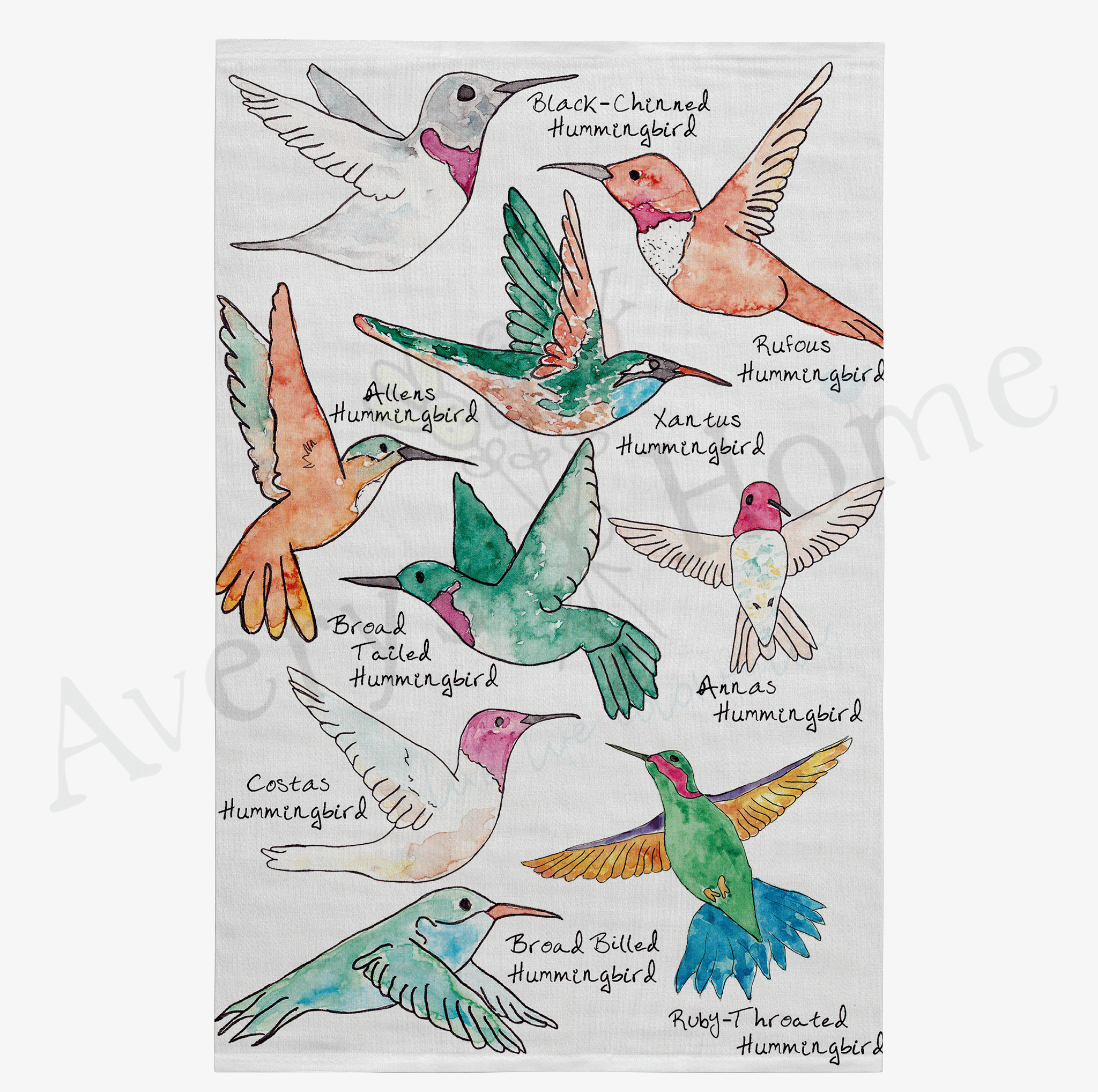 North America Hummingbirds dish towel design detail