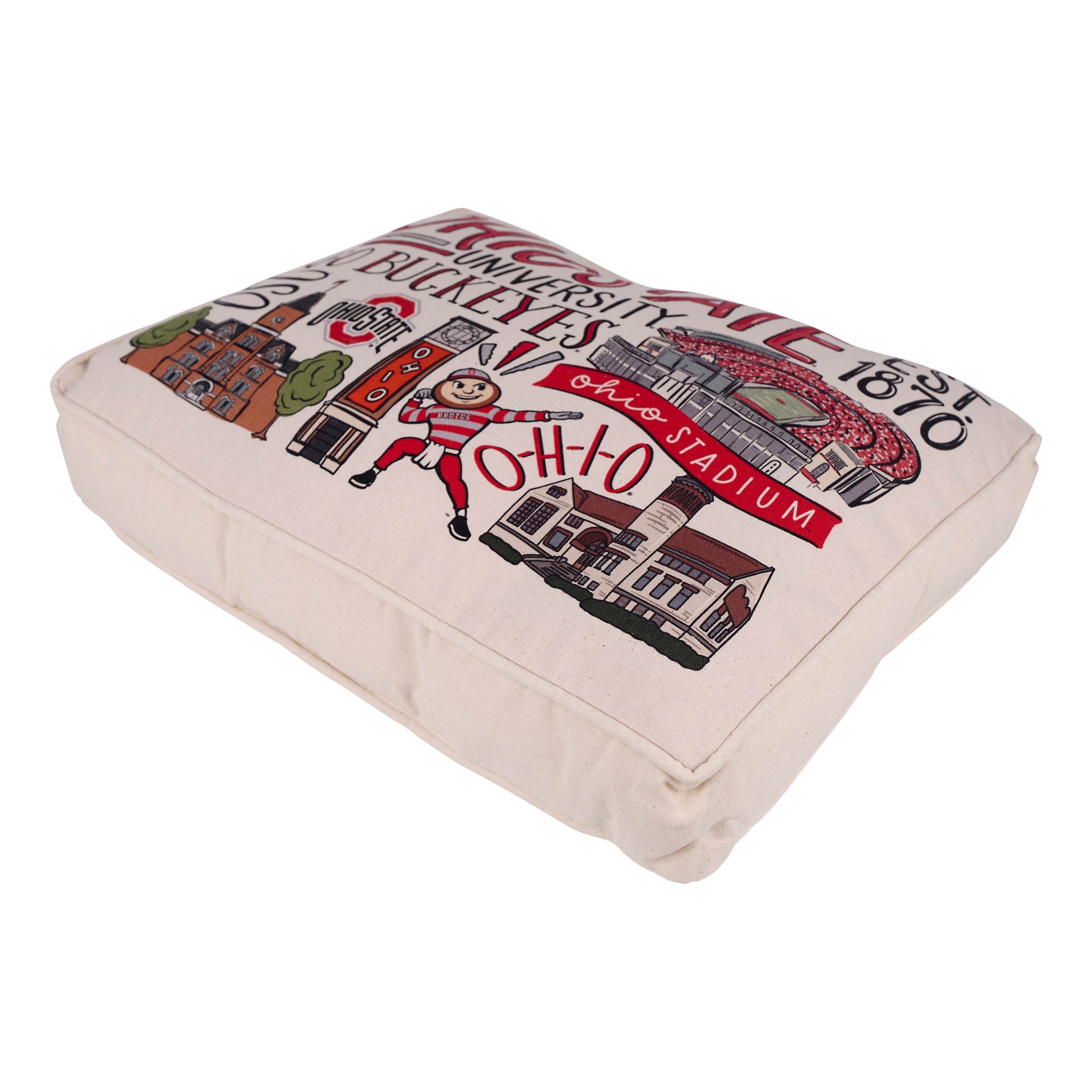 Ohio State Icon Pillow