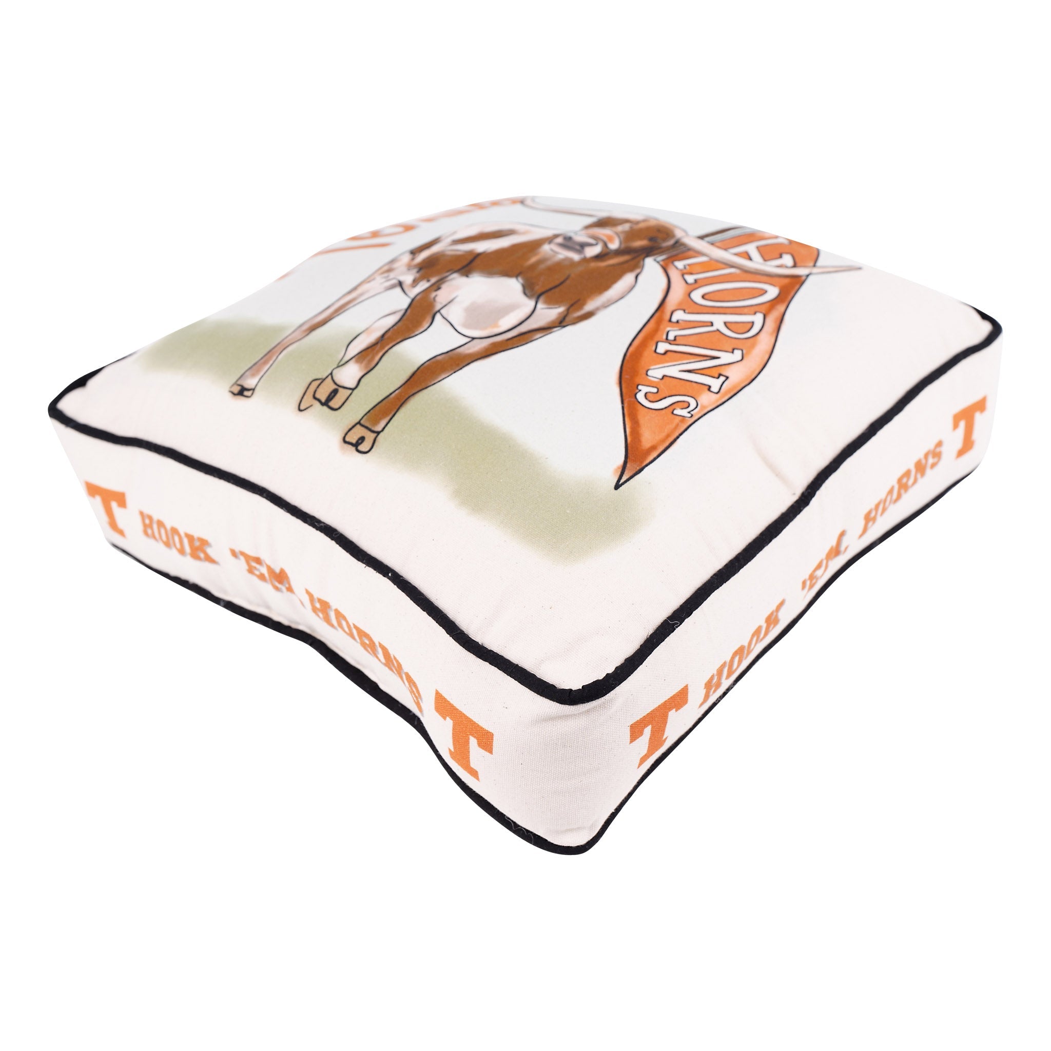 Texas Mascot PIllow