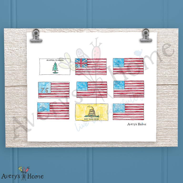 American Flag History Frosted Drinking Glass