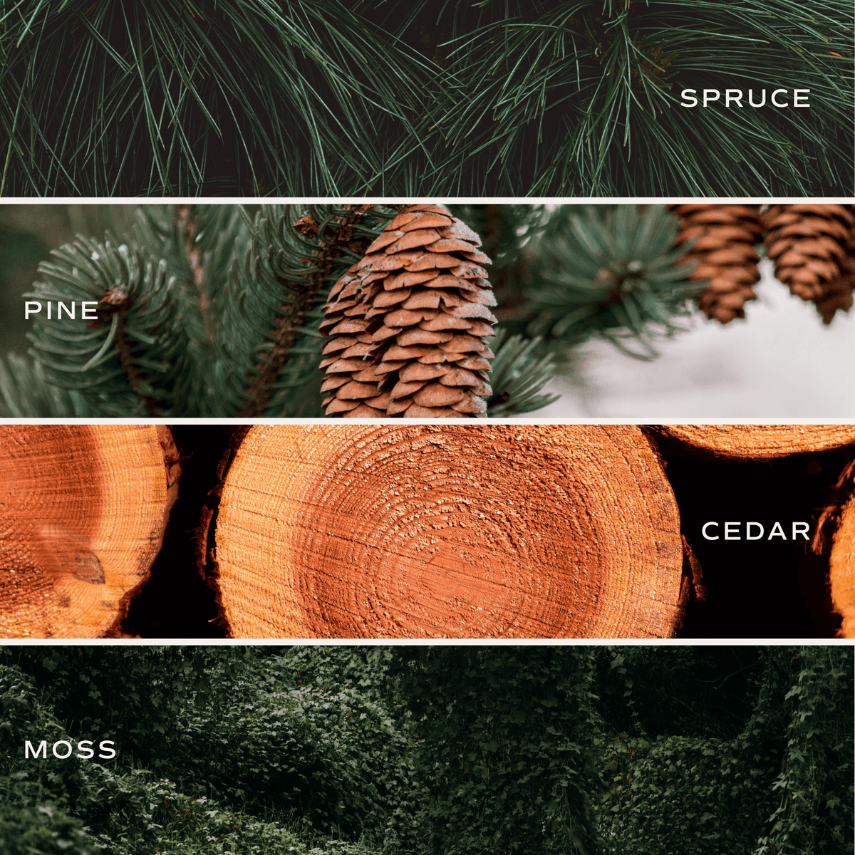 Christmas Tree Tinted Glass Jar Reed Diffuser