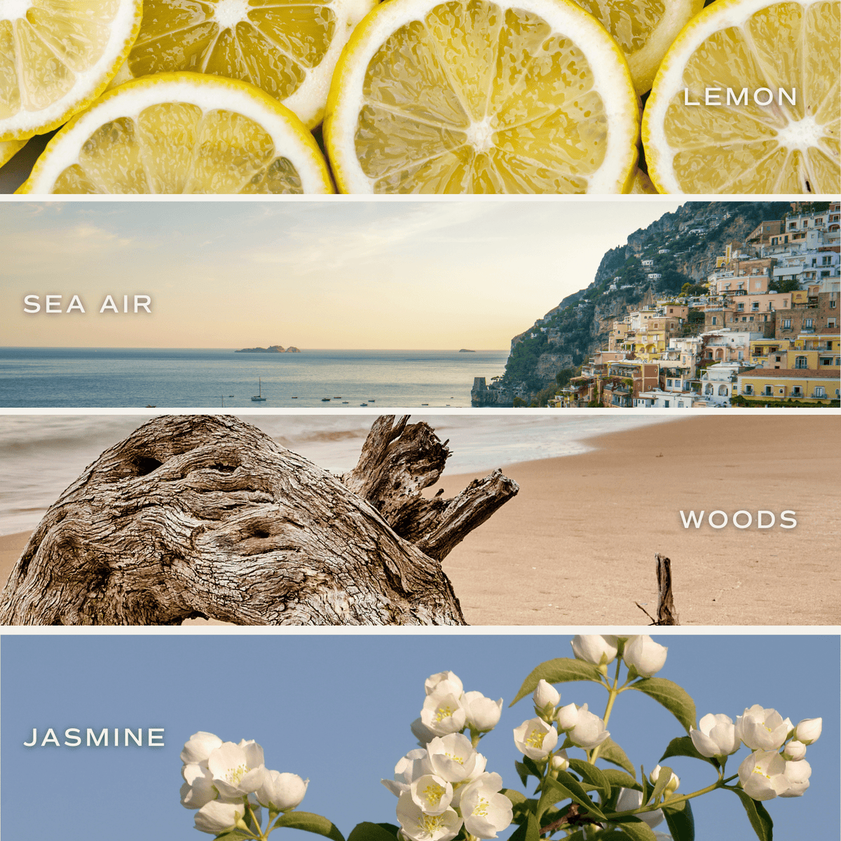 Coastal Lemon Hanging Air Freshener