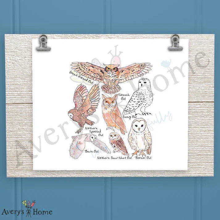 Owls of North America Frosted Drinking Glass