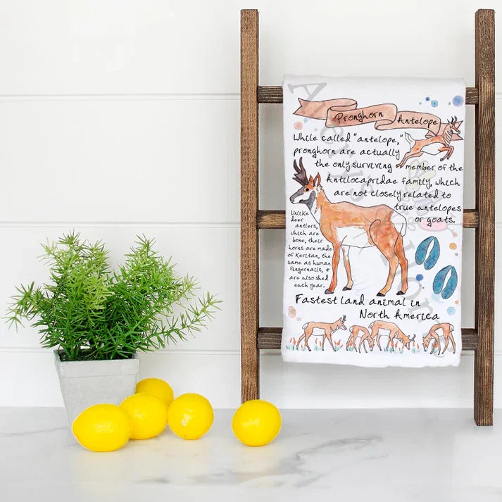 Pronghorn Antelope Facts dish towel folded, hemmed on all four sides