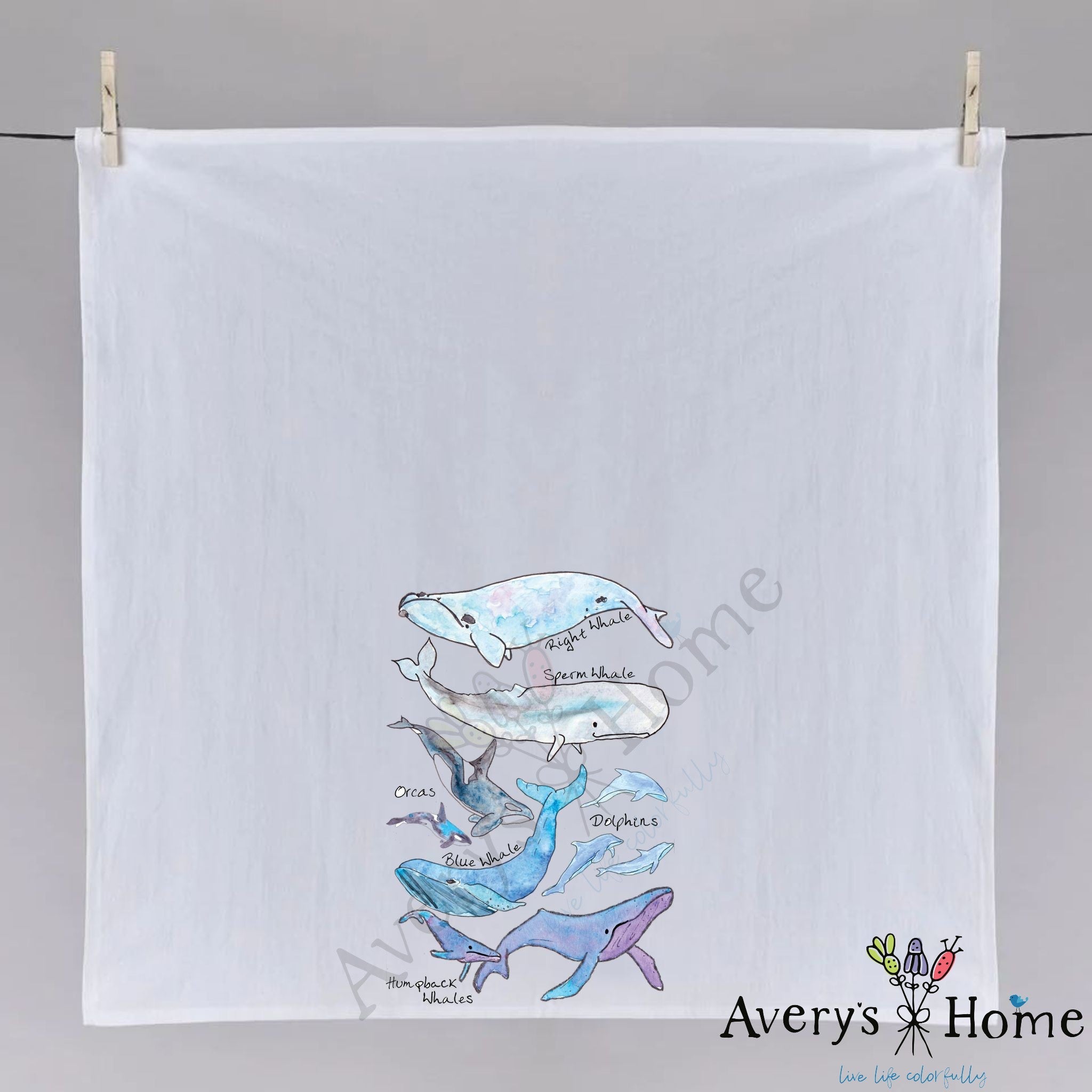Whale Species dish towel hanging in the kitchen