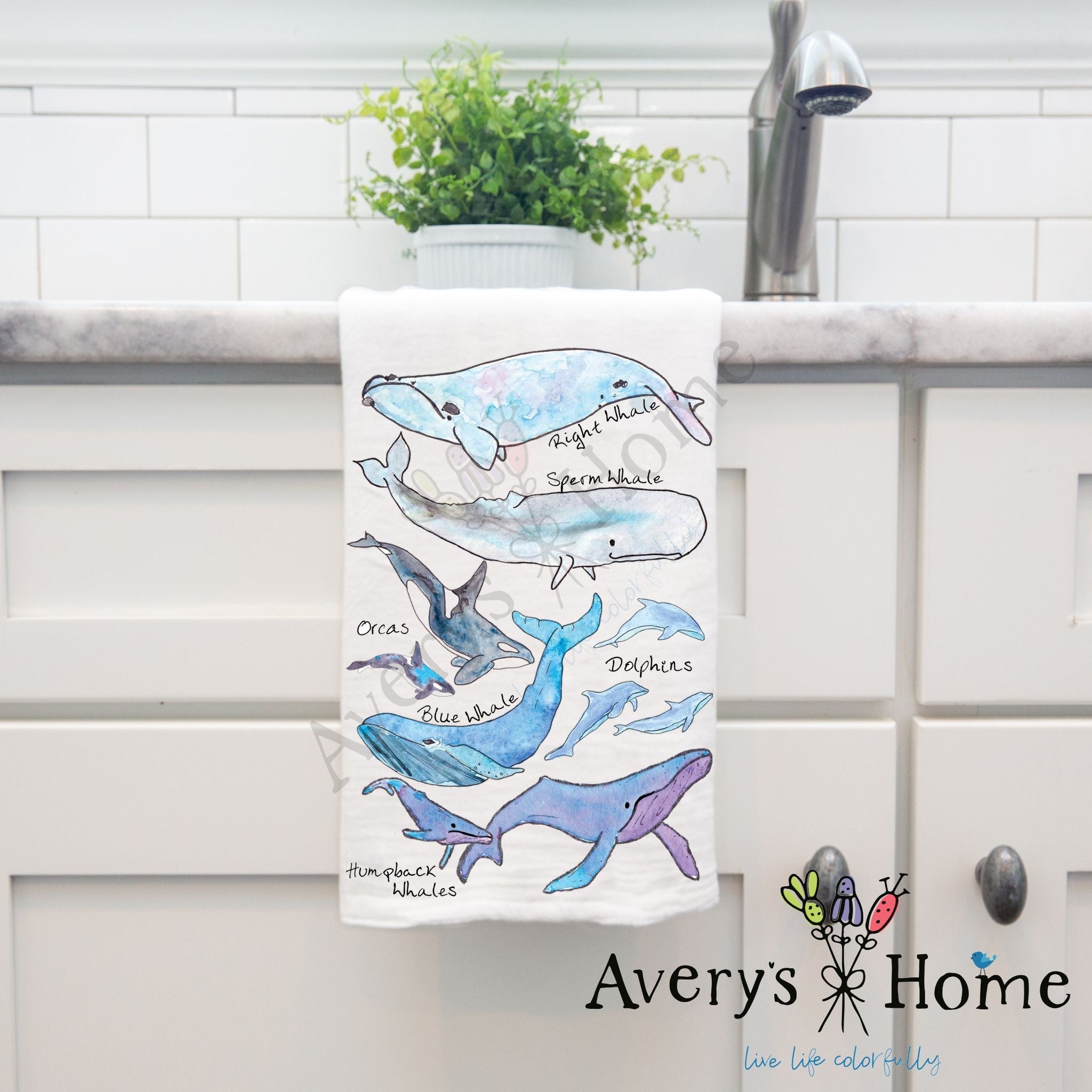 Whale Species dish towel, 27x27 flour sack cotton