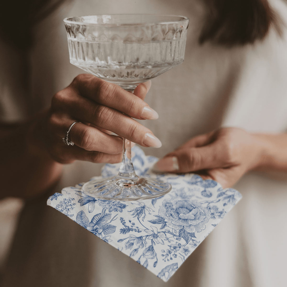 Blue Delft Cocktail Napkins