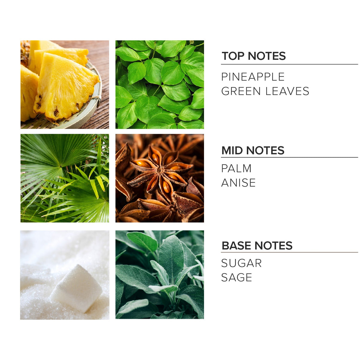Pineapple Sage Soy Candle
