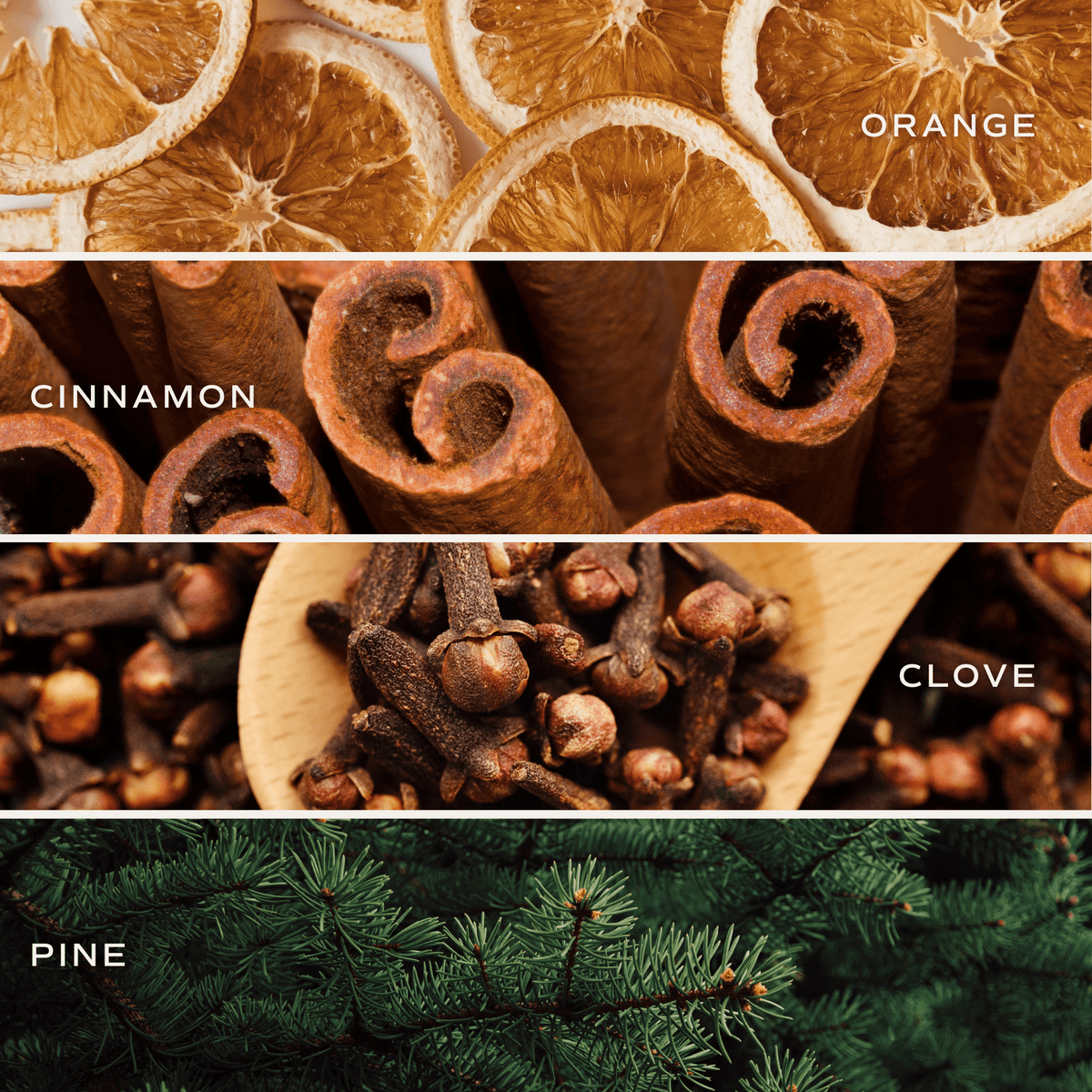 Warm and Cozy Amber Reed Diffuser