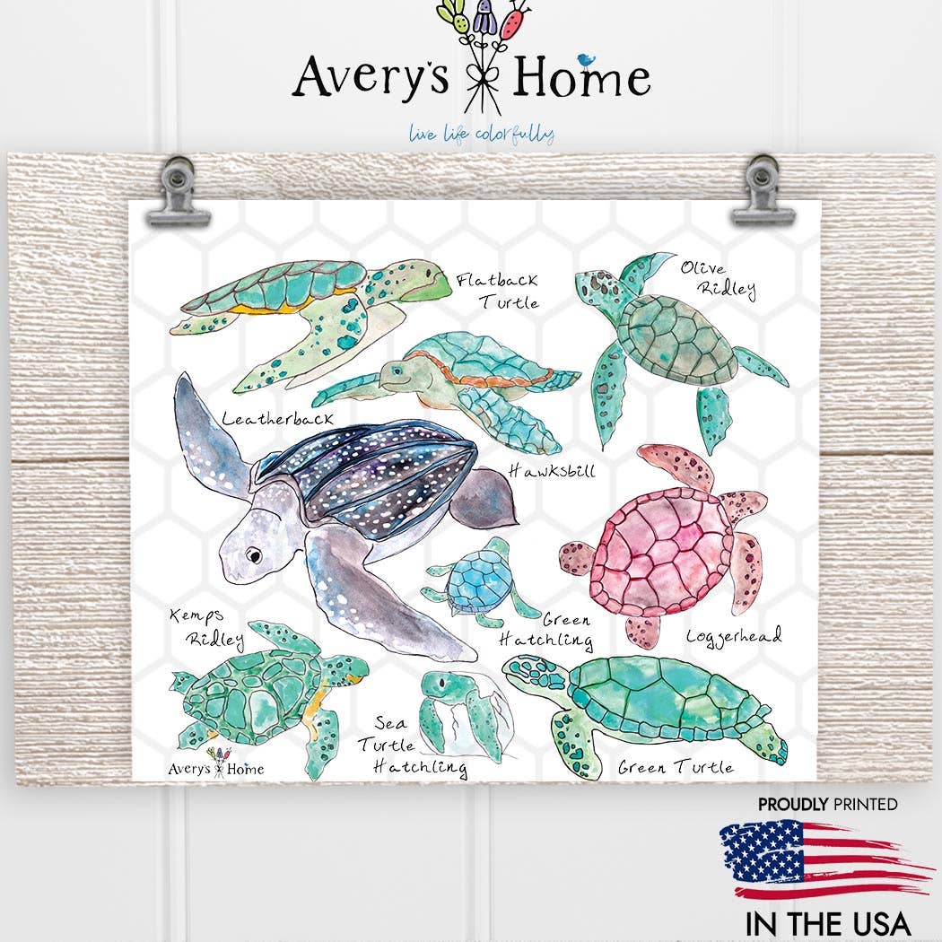 Sea Turtle Breeds 20 oz Skinny Tumbler