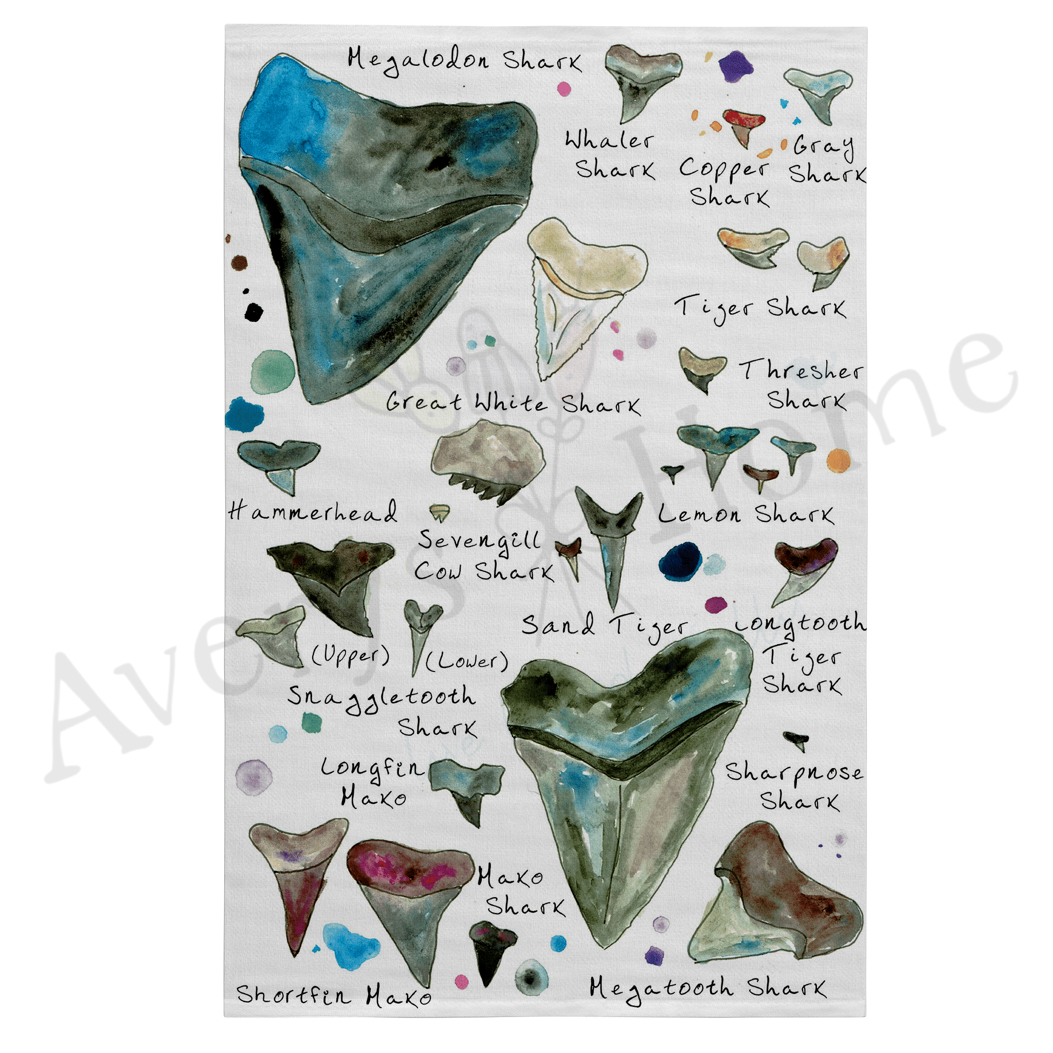 Shark Tooth Names dish towel design detail